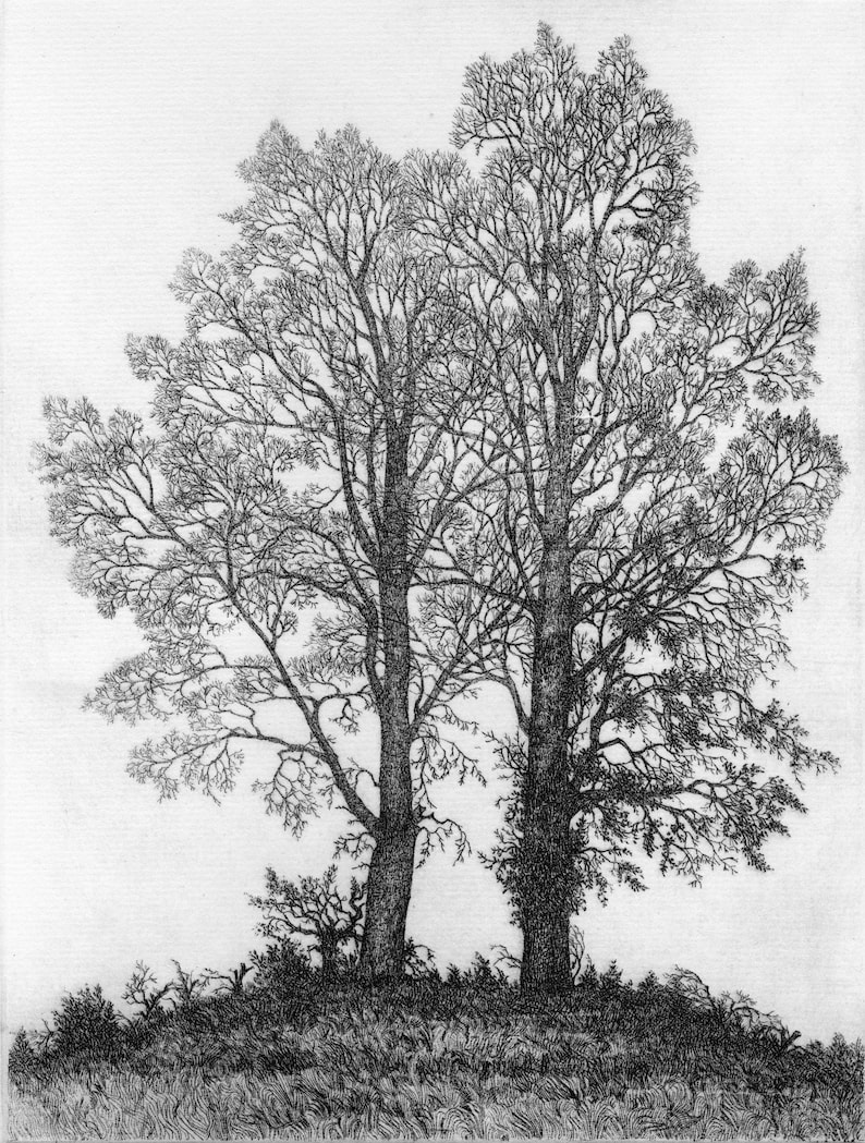 Two Elms etching limited edition image 1