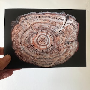 Biglietto di auguri di pirografia su fetta di legno