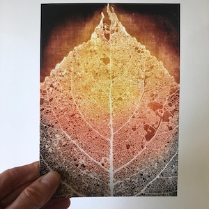 Carte de voeux avec gravure solaire « La feuille d'or »