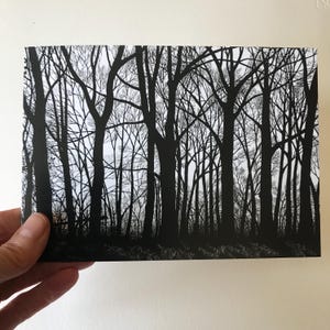 Biglietto di auguri "Stark Trees" da disegno a penna e inchiostro