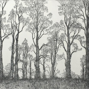 Row of Elms etching, intaglio hand drawn print