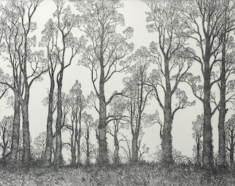 Row of Elms etching, intaglio hand drawn print