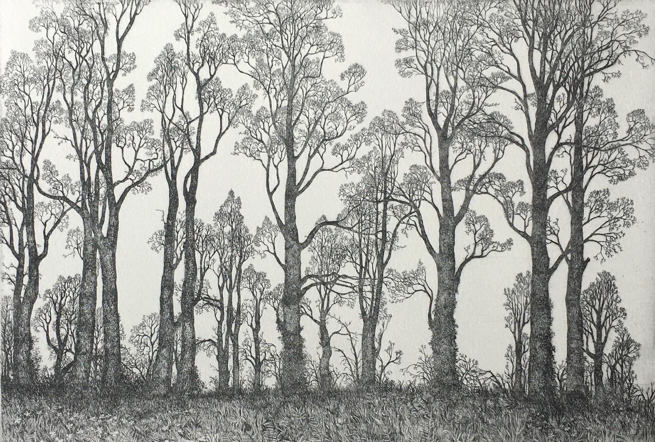 【銅版画】作品:The Long Seat 作者:Stephen Whittle Stephen Whittle | 49 Artworks at Auction | MutualArt