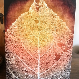 Greeting card of solar etching 'The Golden Leaf'