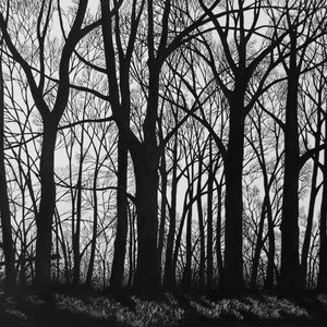 Greeting card 'Stark Trees' from pen and ink drawing