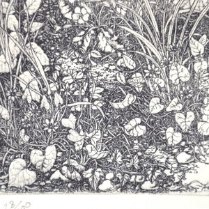 Detailed intaglio limited edition etching spring image 3