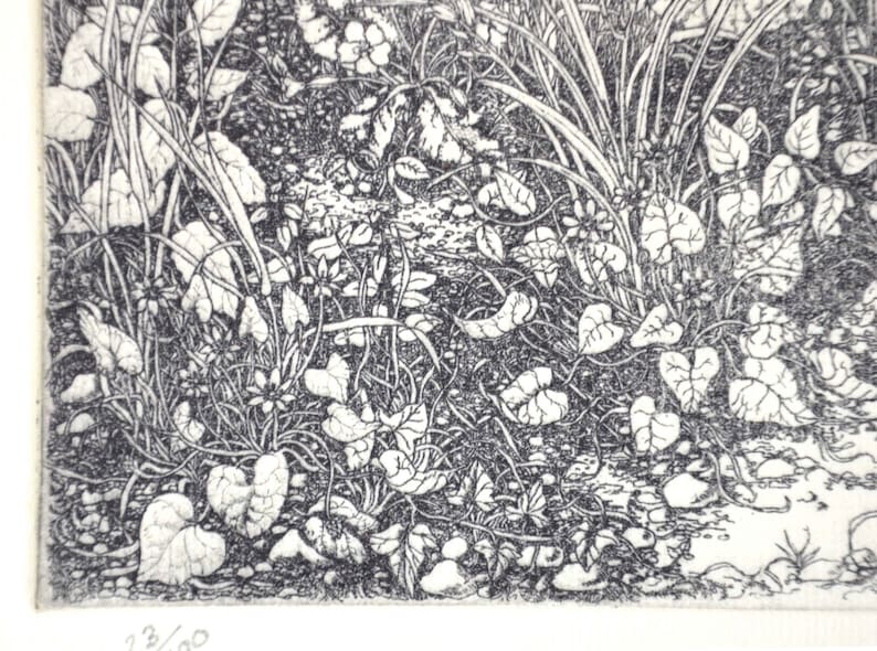 Detailed intaglio limited edition etching spring image 3