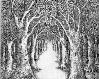 Limited edition etching 'Into the Forest' by Tricia Newell