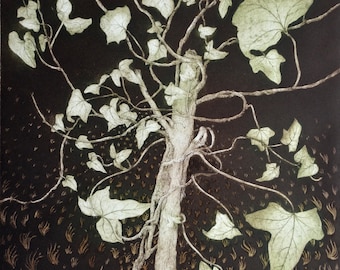 Ivy etching, limited edition