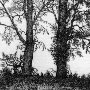 Two Elms etching limited edition image 4