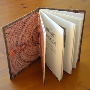 Artist's book, hand made limited edition book with etchings and letterpress image 5