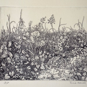 Detailed intaglio limited edition etching spring image 4
