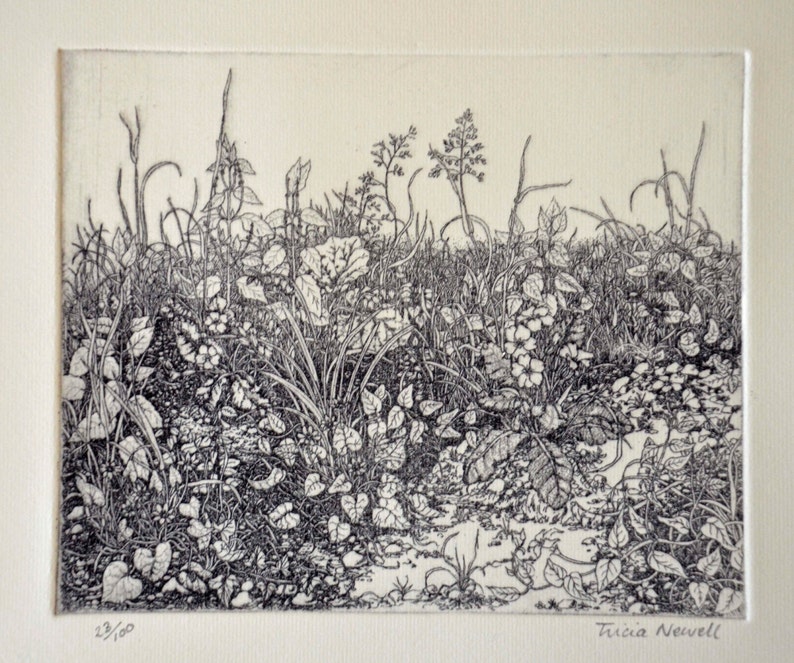 Detailed intaglio limited edition etching spring image 4