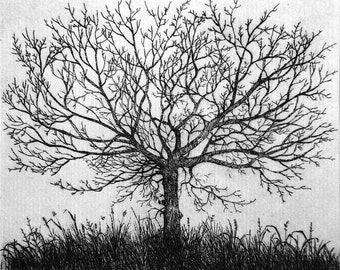 Limited edition etching of Tree, black and white