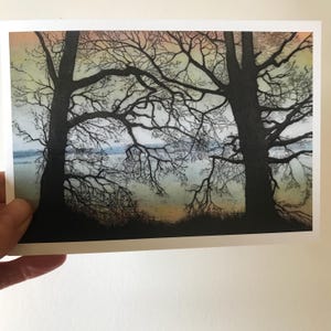Tarjeta de felicitación a partir del grabado 'Twilight Trees' de Tricia Newell