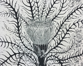 Large hand pulled woodcut print 'Banksia'