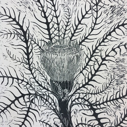 Large Hand Pulled Woodcut Print 'banksia' Etsy