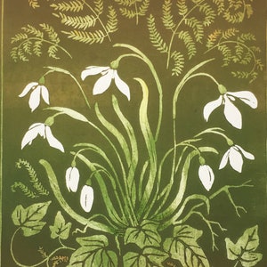 Woodcut of Snowdrops, limited edition