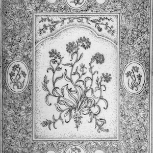 Forget-me-Not limited edition etching