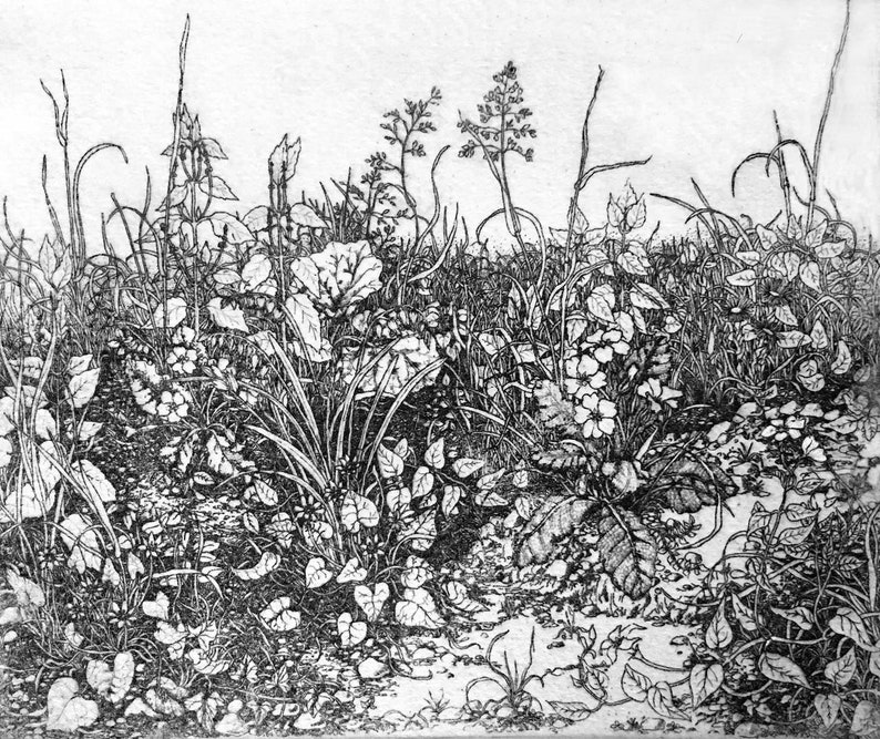 Detailed intaglio limited edition etching spring image 1