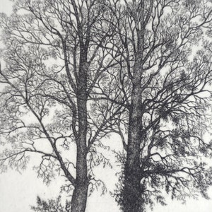 Two Elms etching limited edition image 2