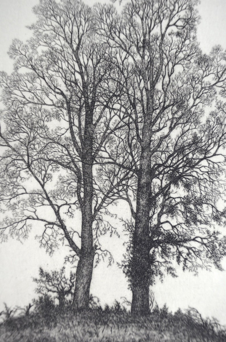 Two Elms etching limited edition image 2