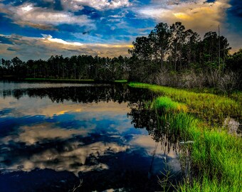 Fotografía artística de un humedal de Florida: reflejo en el cielo durante la hora dorada (descarga digital).