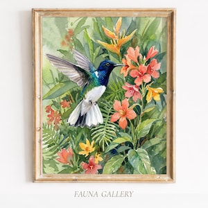 White-necked Jacobin Hummingbird Watercolor Style Print, Tropical Bird Wall Art, Trinidad Wildlife Poster, Exotic Decor (Digital Download)
