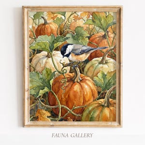 May include: A watercolor painting in a wooden frame depicting a black-capped chickadee perched on a pumpkin vine surrounded by several orange and cream-colored pumpkins with green leaves and curling tendrils. The text FAUNA GALLERY is at the bottom.
