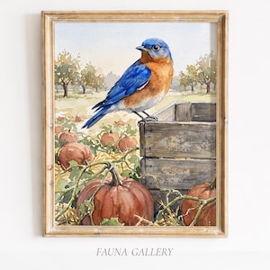 Op de afbeelding: Een ingelijst aquarel schilderij toont een blauwe vogel met een felblauwe kop en vleugels en een oranje borst, zittend op een verweerde houten kist. Onder de kist liggen verschillende oranje pompoenen op de grond in een veld.