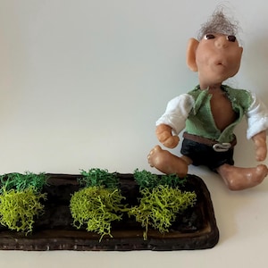 May include: A whimsical figurine of a troll with a green vest, white sleeves, and black shorts. The troll has a brown belt and gray hair. Beside the troll is a rectangular, dark brown tray with three clumps of green and yellow moss.
