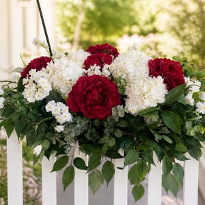 May include: A vibrant floral arrangement featuring large, deep red peonies and clusters of white hydrangeas. The flowers are accented by green foliage and arranged in a white planter box, creating a fresh, natural display.