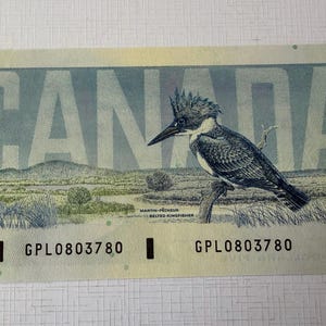 Peut inclure: Un billet canadien de cinq dollars avec une illustration détaillée d'un Martin-pêcheur d'Amérique perché sur une branche. Le mot "CANADA" est affiché, ainsi que le chiffre "5" en bleu. Le billet comprend également le numéro de série GPL0803780.