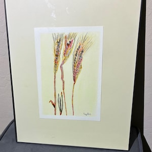Puede incluir: Pintura a la acuarela de tres espigas de trigo en un marco crema y negro. El trigo está pintado en tonos amarillos, rojos y marrones. La firma del artista, "TazArt", es visible en la esquina inferior derecha.