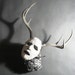 Owner of <a href='https://www.etsy.com/shop/3spiritsstudio?ref=l2-about-shopname&from_page=listing' class='wt-text-link'>3spiritsstudio</a>