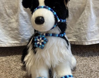 Pacchetto accessori Essa Kandi