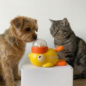 May include: A yellow duck-shaped pet toy with an orange top and fins, filled with treats, sits on a white box. A small brown dog and a gray tabby cat are looking at the toy. The toy has the word "DUCK" printed on its side.