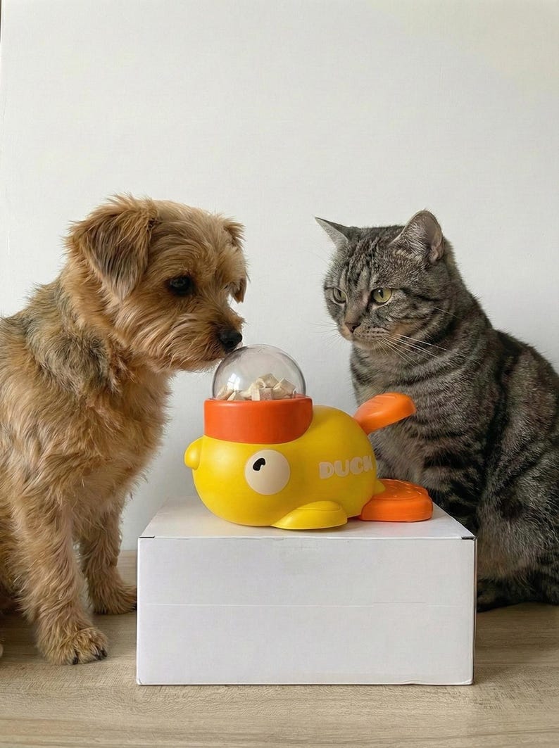 May include: A yellow duck-shaped pet toy with an orange top and fins, filled with treats, sits on a white box. A small brown dog and a gray tabby cat are looking at the toy. The toy has the word "DUCK" printed on its side.