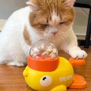 May include: A yellow toy duck with orange accents and the word "DUCK" printed on the side. A white and orange cat is interacting with the toy. The toy has a clear dome on top filled with small objects.
