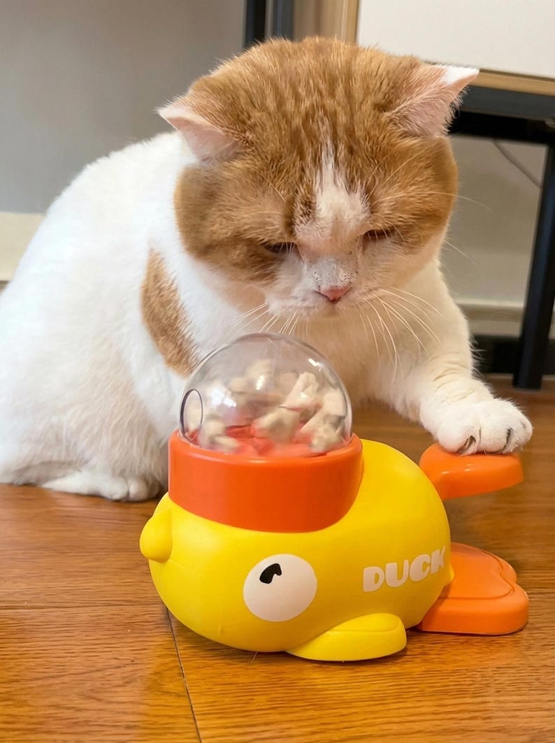 May include: A yellow toy duck with orange accents and the word "DUCK" printed on the side. A white and orange cat is interacting with the toy. The toy has a clear dome on top filled with small objects.