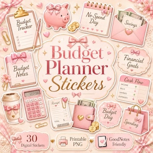 Budget Planner Stickers Digital, Pink Coquette Finance Stickers, GoodNotes Budget Stickers, Savings Planner PNG Bundle