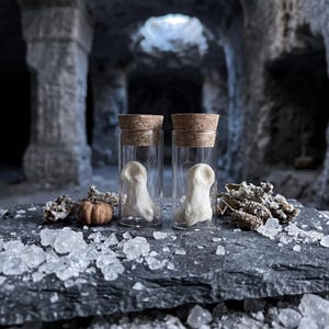 Real Deer Joint Bone in Vial | Cervid Articulation Specimen | Catacomb Aesthetic & Purification Ritual Prop