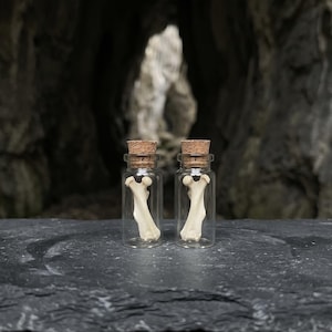 Könnte beinhalten: Zwei kleine Glasflaschen mit Korken, die jeweils einen Knochen enthalten. Die Knochen sind cremefarben und scheinen ein Oberschenkelknochen zu sein. Die Flaschen stehen auf einer dunklen, strukturierten Oberfläche.