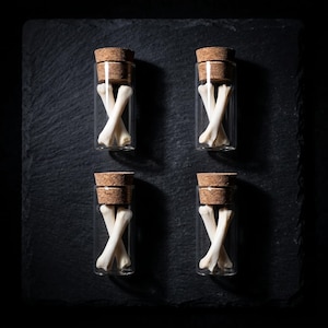 May include: Four small glass bottles with cork stoppers, each containing two white cross-shaped bones. The bottles are arranged on a dark, textured surface, creating a symmetrical composition. The lighting highlights the textures and shapes.