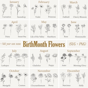 Könnte beinhalten: Eine digitale Grafik mit 12 Geburtsmonatsblumen, jede mit ihrem Namen. Die Blumen umfassen Nelke, Schneeglöckchen, Veilchen, Primel, Narzisse, Kirschblüte, Gänseblümchen, Wicke, Maiglöckchen, Weißdorn, Rose, Geißblatt, Rittersporn, Seerose, Gladiole, Mohn, Aster, Prunkwinde, Ringelblume, Kosmee, Chrysantheme, Pfingstrose, Narzisse und Stechpalme.