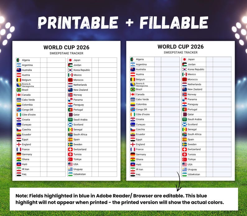 World Cup 2026 Sweepstake Kit, Soccer Sweepstakes, Football Office Pool Game, Fun Soccer World Cup Party Game, Soccer PDF, Instant Download