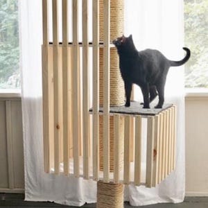 Può includere: Un albero per gatti a più livelli con finitura in legno naturale e un palo per graffiare avvolto in sisal. Due gatti sono sull'albero, uno soffice e di colore chiaro, l'altro nero. Design moderno.