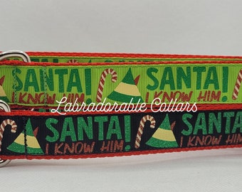 Collar navideño para perro con diseño de Papá Noel y elfo.