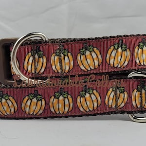 Pumpkin Dog Collar Fall Dog Collar Pumpkin Dog Collar Halloween Dog Collar Thanksgiving Dog Collar Pumpkin dog collar