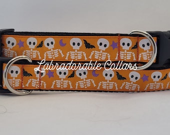 Collar de perro con esqueleto y calaveras Collar de perro con calaveras del Día de los Muertos Collar de perro con calaveras